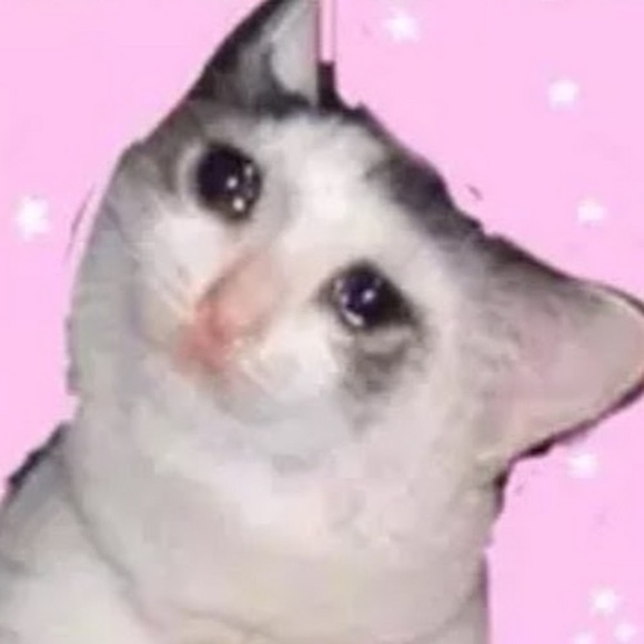 Meet your Posher, Nowan - Picture 1 of 1